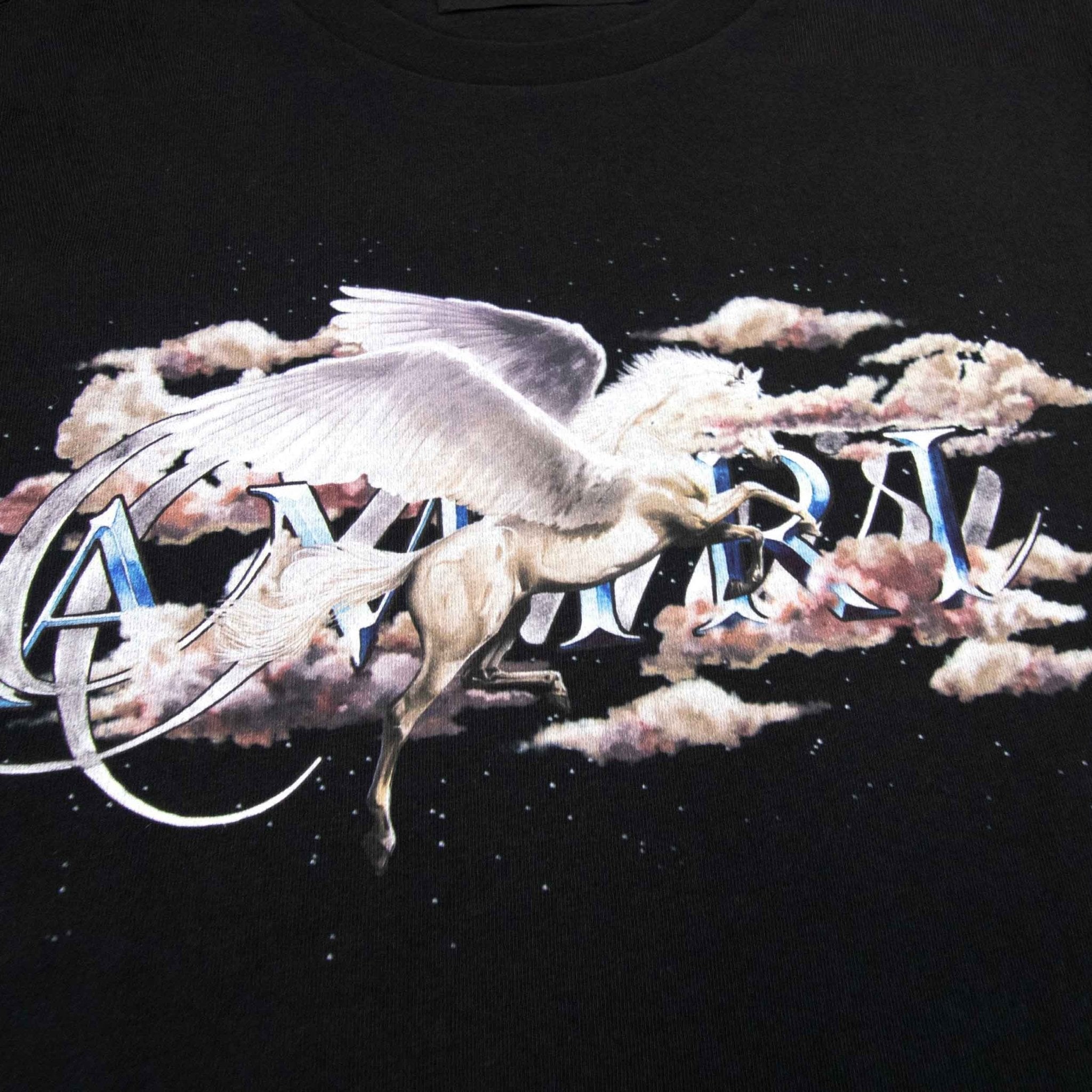 [Amiri] Pegasus Script Logo T-Shirt in Black